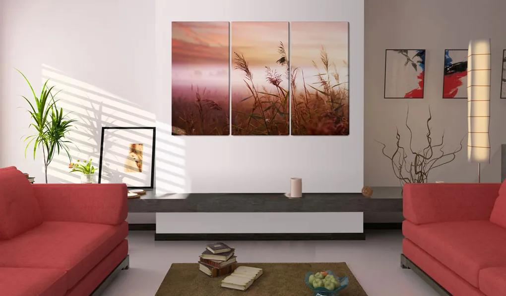 Artgeist Obraz - A silent meadow Veľkosť: 90x60, Verzia: Standard