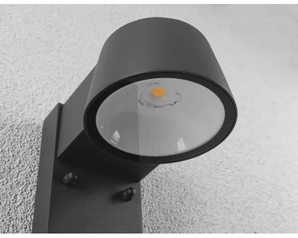 Paulmann 94714 - LED/6W IP44 Vonkajšie nástenné svietidlo so senzorom CAPERA 230V