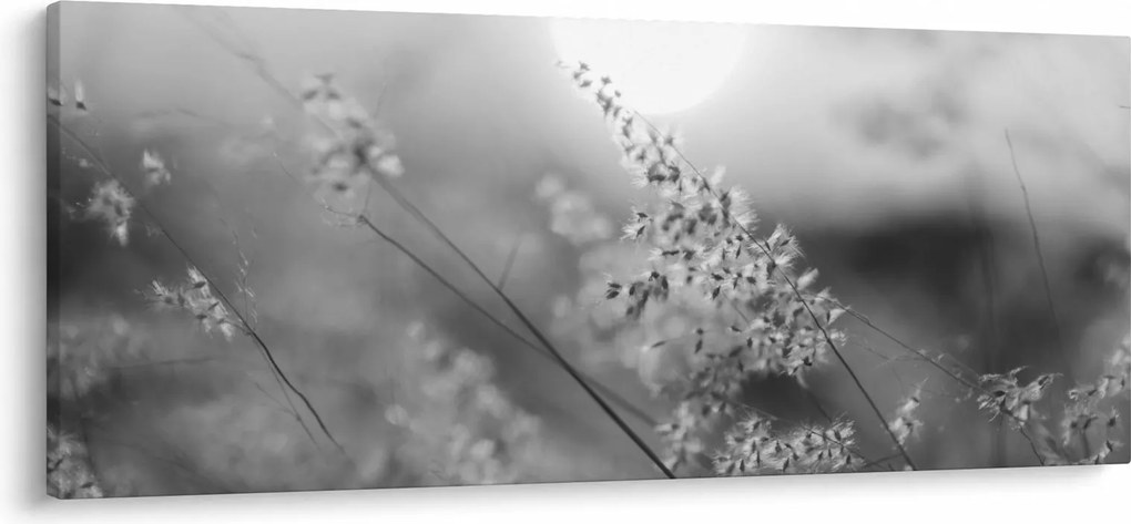 Obraz - Jesenná lúka (120x50 cm)