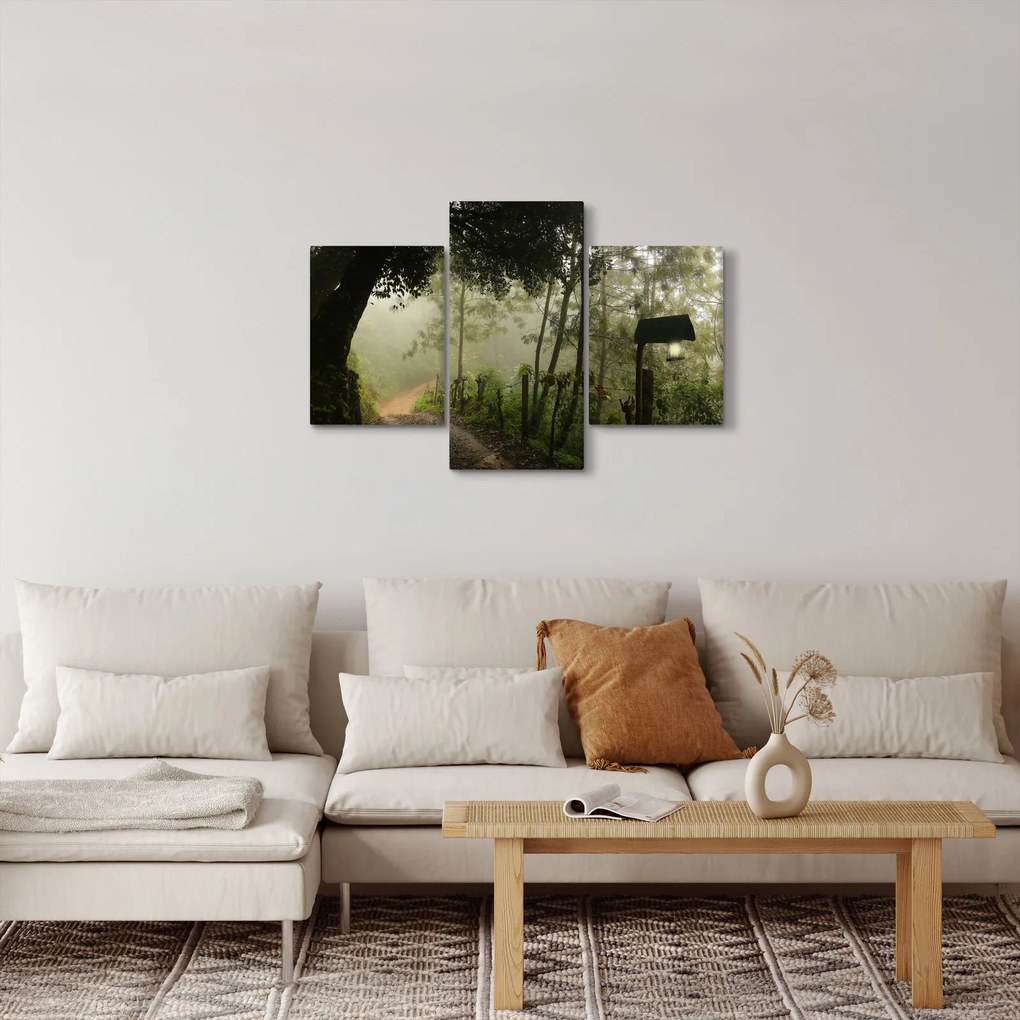 Obraz rannej hmly (90x60 cm)