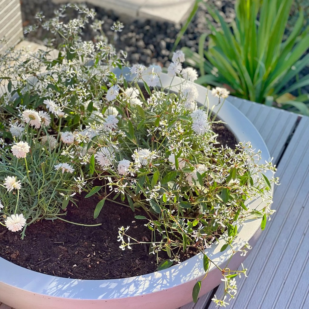 Okrasná miska PLANA, sklolaminát, Ø 44 cm x výška 11 cm, betón design