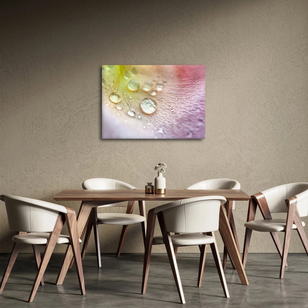 Obraz - Kvapôčky (70x50 cm)