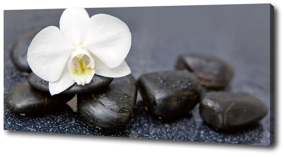 Foto obraz na plátne Orchidea pl-oc-125x50-f-143014442