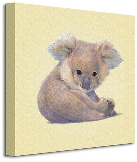 Art Group Obraz na plátne Koala Butler John Rozmery: 40 x 40 cm