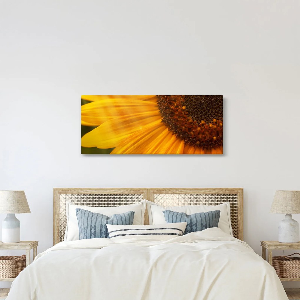 Obraz - Slnečnica (120x50 cm)