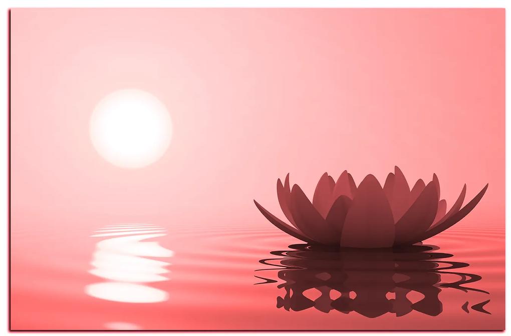 Obraz na plátne - Zen lotus 1167CA (120x80 cm)