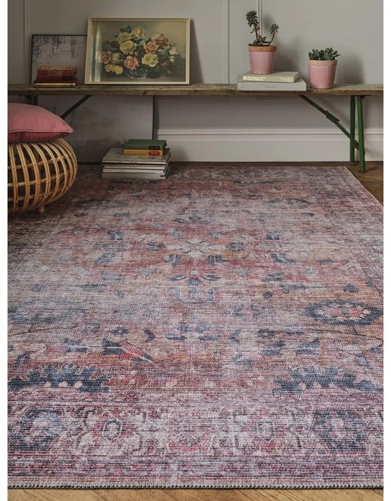 Koberec 170x120 cm Kaya - Asiatic Carpets