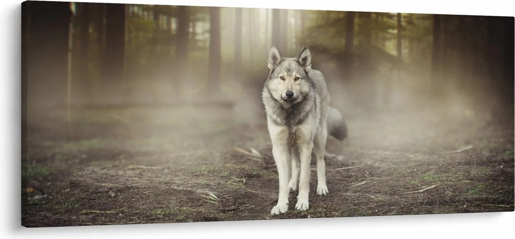 Obraz - Strážca lesa (120x50 cm)