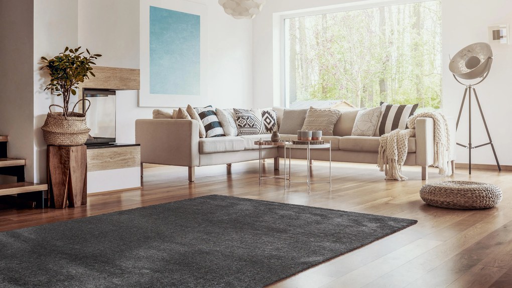 Kusový koberec Dolce Vita 01 / GGG, 120x170, šedá, obývacia izba, Sintelon