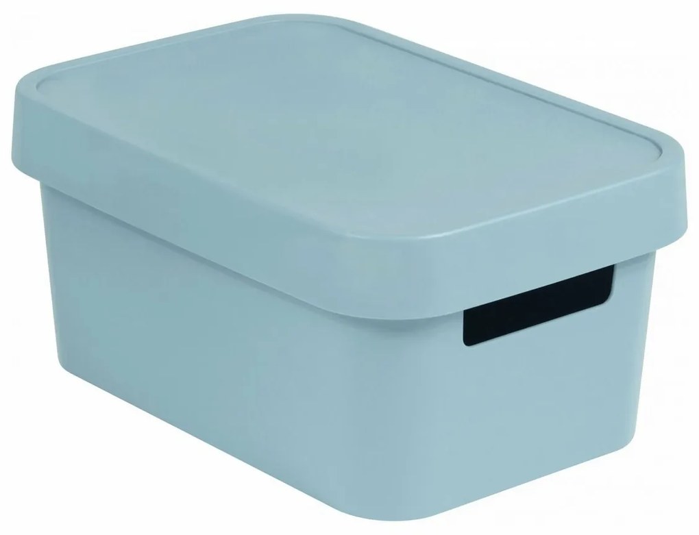 Curver Úložný box INFINITY 4,5l s víkem šedý, 4,5 l