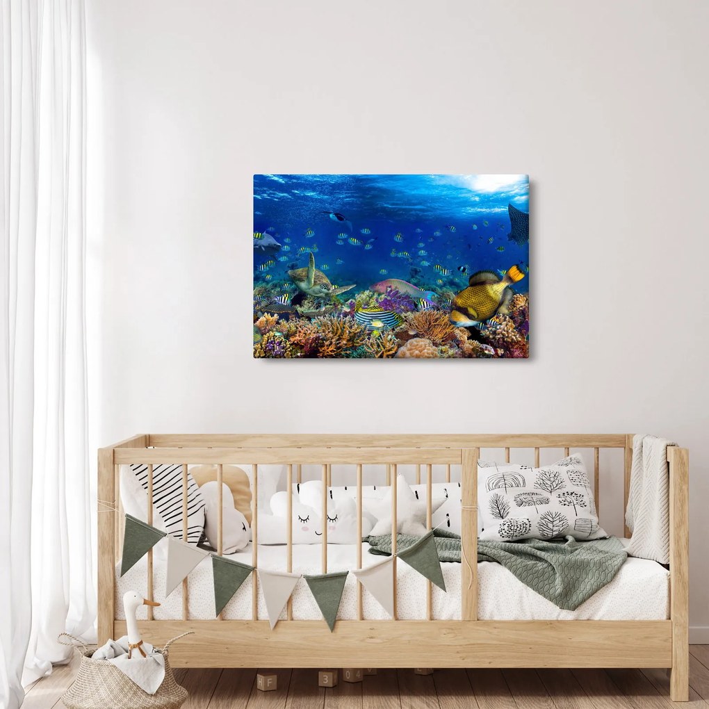 Obraz - Oceán (90x60 cm)