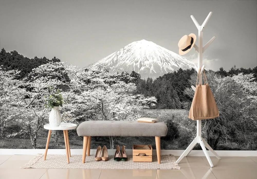 Samolepiaca fototapeta čiernobiela Fuji v objatí japonskej prírody