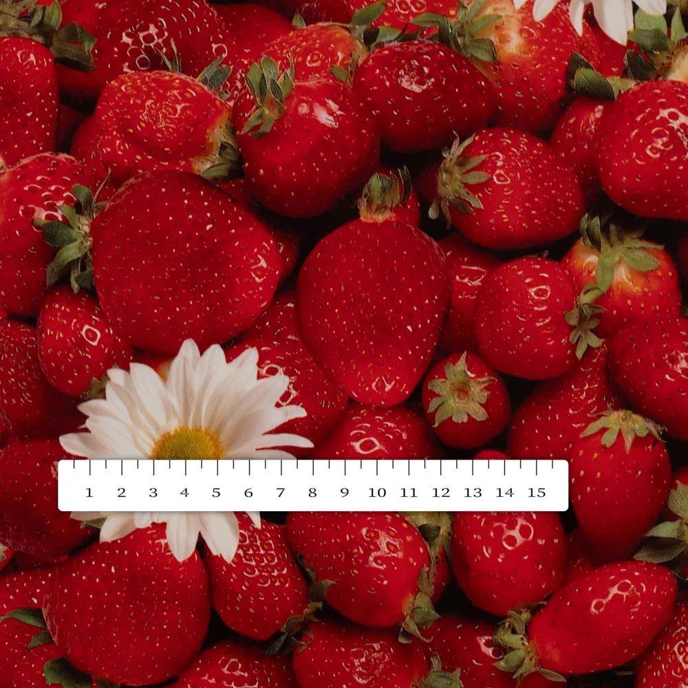 PVC obrus Jahody PV-137 - metráž š. 140 cm