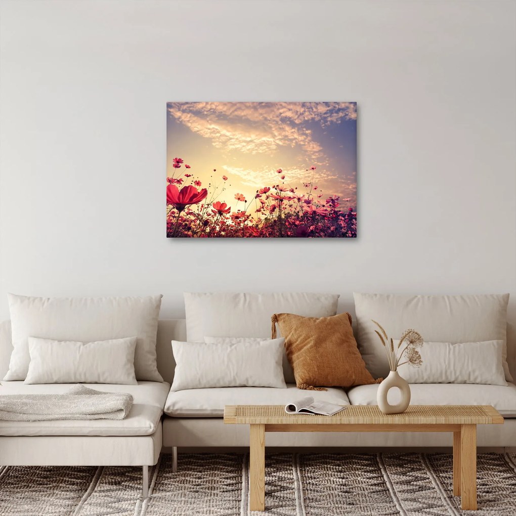 Obraz - Lúka s kvetmi (70x50 cm)