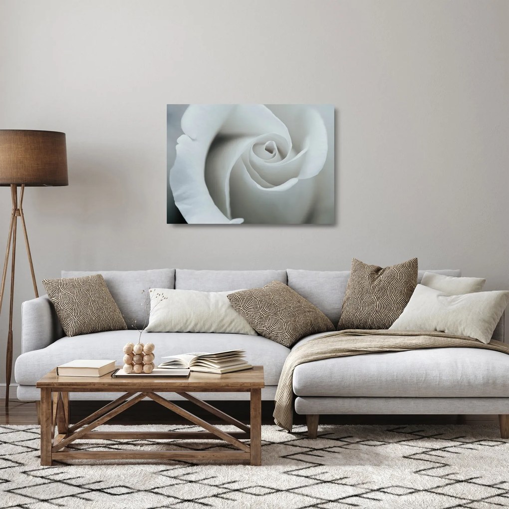 Sklenený obraz - Biela ruža (70x50 cm)
