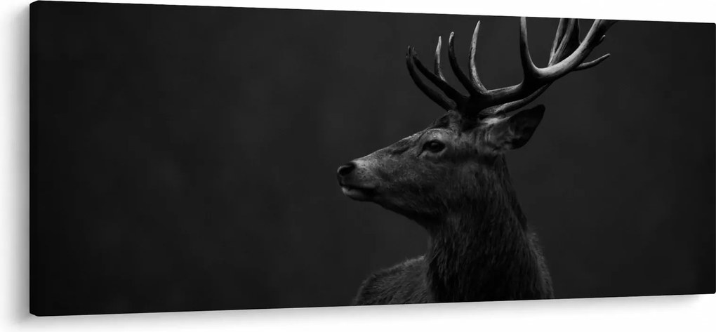 Obraz - Portrét jeleňa (120x50 cm)