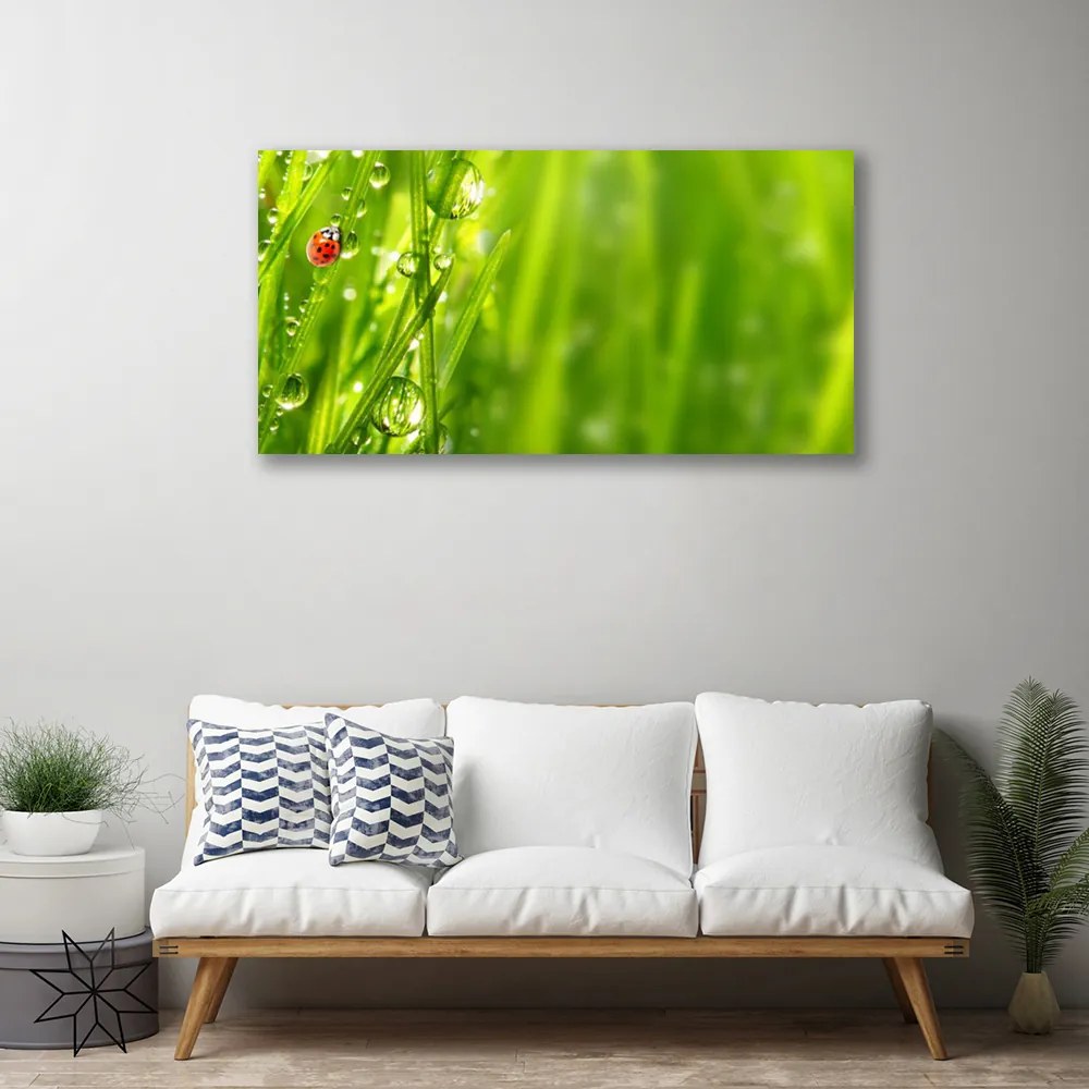 Obraz Canvas Tráva lienka príroda 125x50 cm