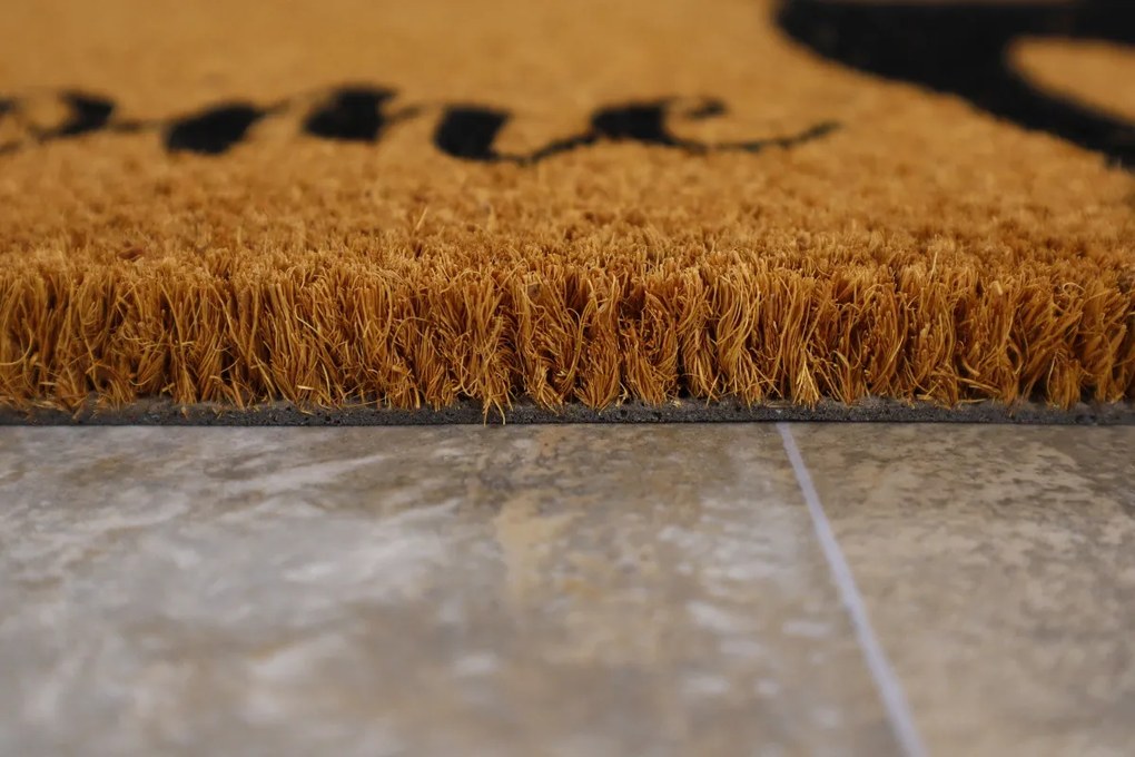 Trade Concept, Rohožka Kokos Welcome Pes - na von aj na doma, 40x60, hnedá, chodba / predsieň