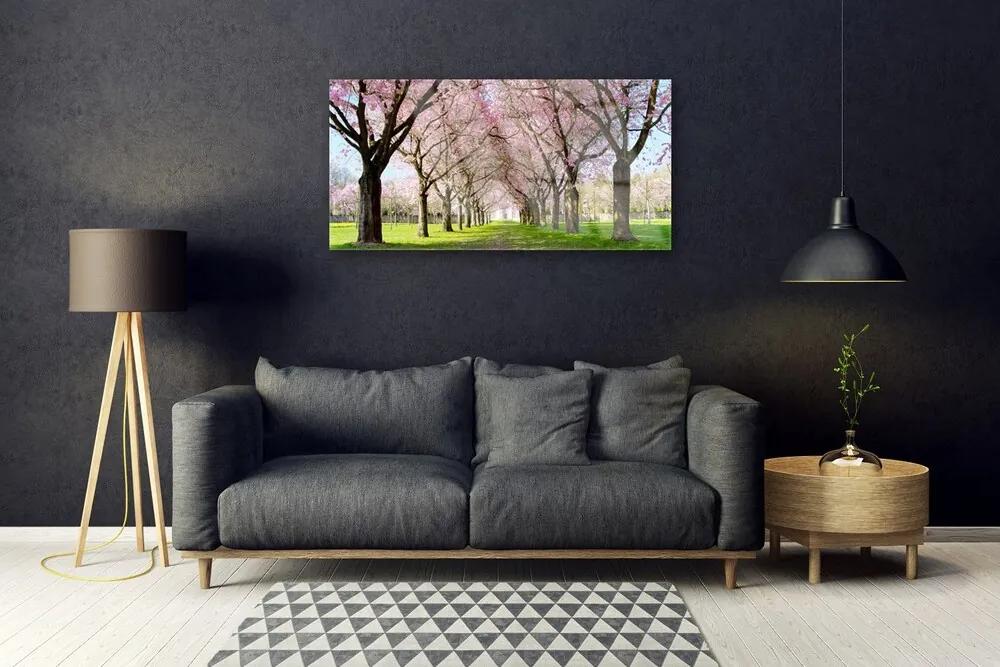 Skleneny obraz Chodník stromy príroda 100x50 cm