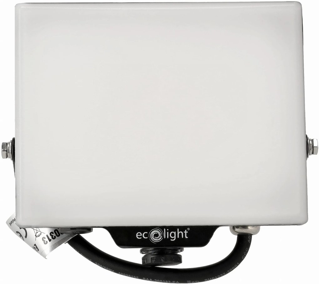 ECOLIGHT LED reflektor 30W 2v1 - studená biela + čidlo pohybu