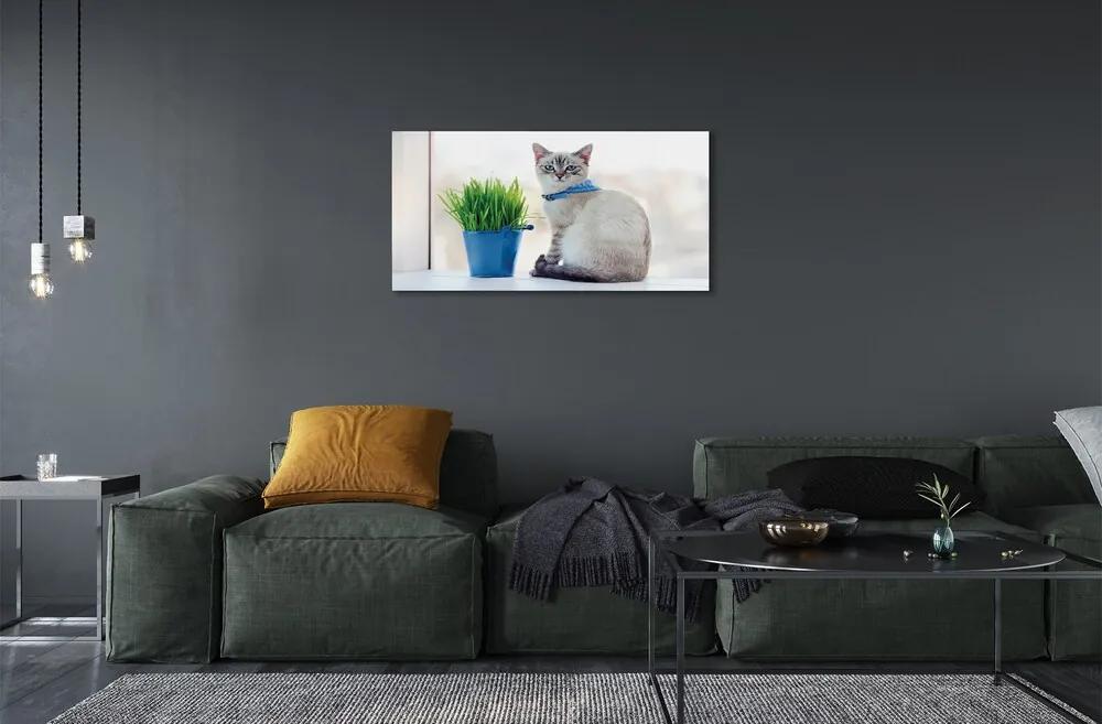 Sklenený obraz sediaci mačka 120x60 cm