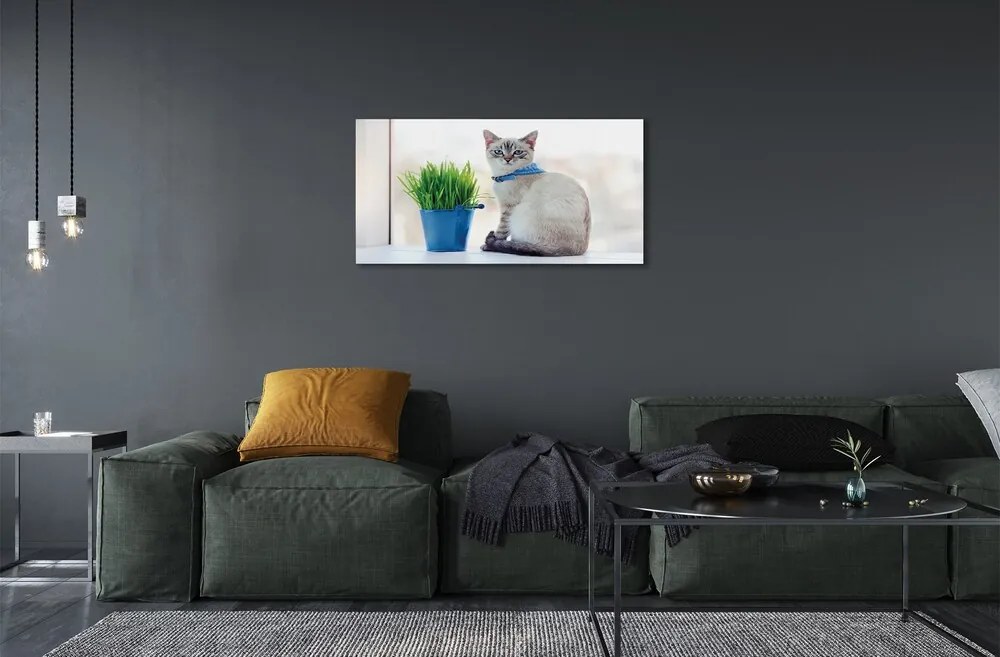 Sklenený obraz sediaci mačka 140x70 cm