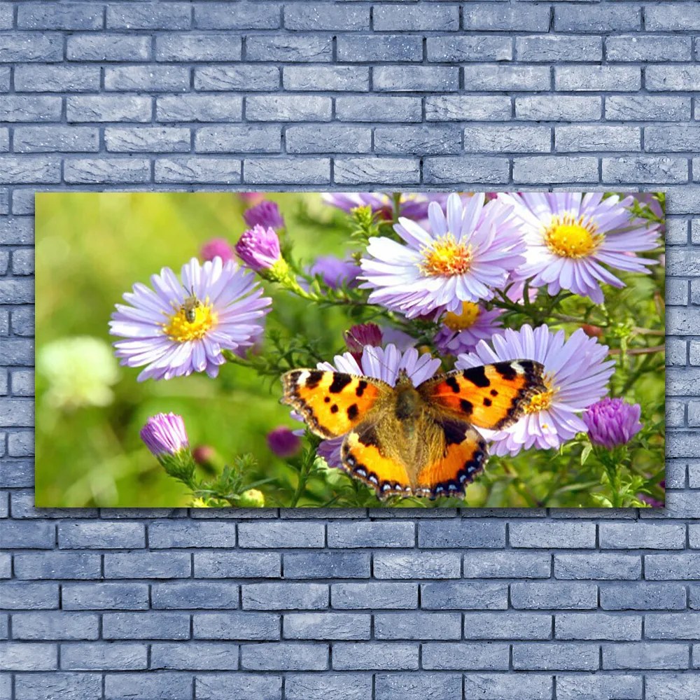 Obraz na akrylátovom skle Kvety motýľ príroda 120x60 cm