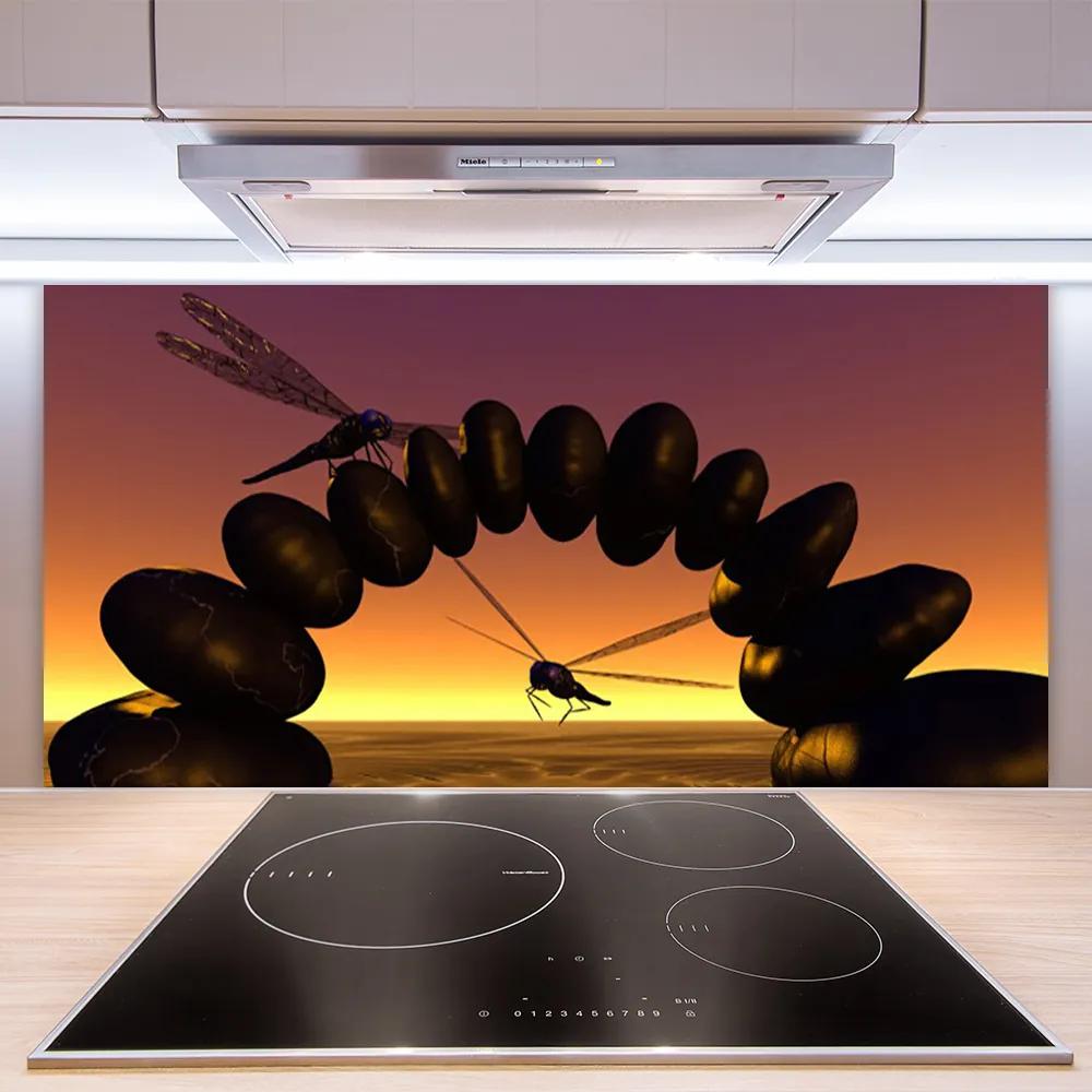 Sklenený obklad Do kuchyne Vážky kamene umenie 125x50 cm
