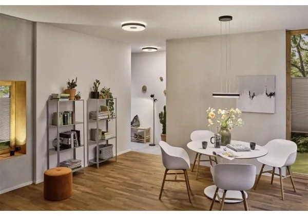 Paulmann 79518 - LED/23W Stmievateľné stropné svietidlo PURIC PANE 230V