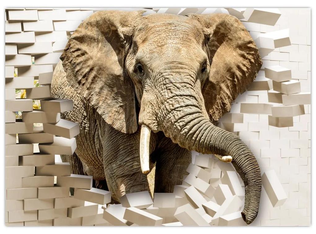 Sklenený obraz - Slon prerážajúci múr (70x50 cm)