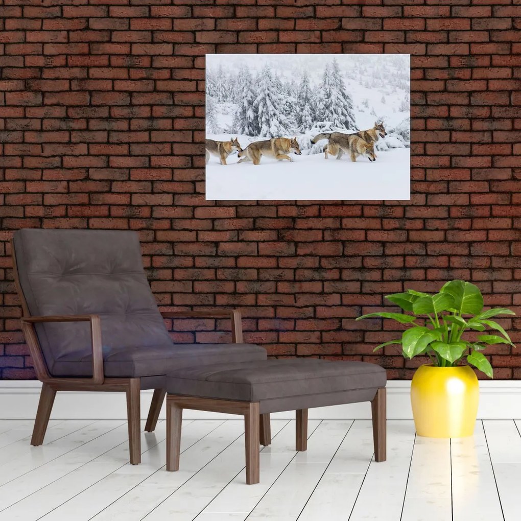 Sklenený obraz - Vlci v horách (70x50 cm)