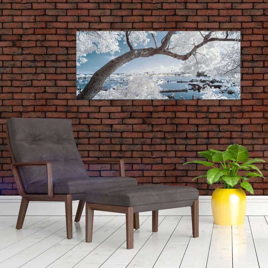 Obraz zasneženého stromu pri vode (120x50 cm)