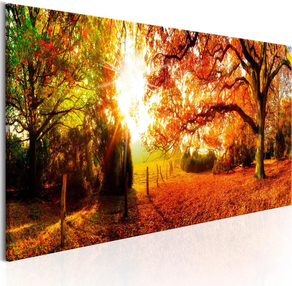 Obraz - Magic of Autumn 150x50