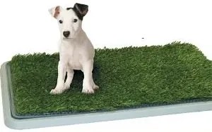 Zaparkorun Toaleta pre domácich miláčikov - Potty Patch