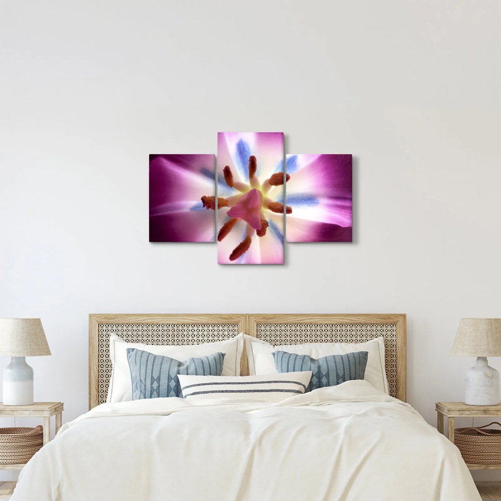 Obraz - Kvet tulipánu v detailu (90x60 cm)