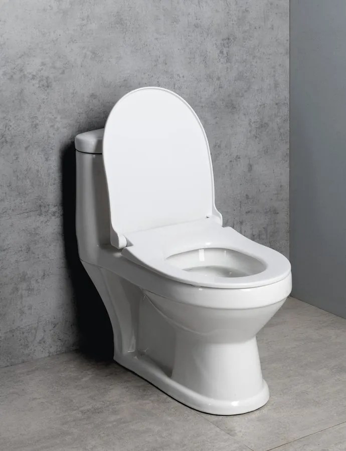 Aqualine Aqualine, PETIT detské WC kombi, zadný/spodný odpad, biela, PT520