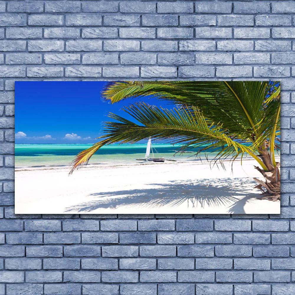 Obraz plexi Pláž palma príroda 120x60 cm