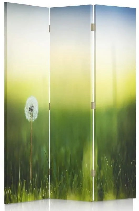 Gario Paraván Púpava v zelenej tráve Rozmery: 110 x 170 cm, Prevedenie: Otočný paraván 360°