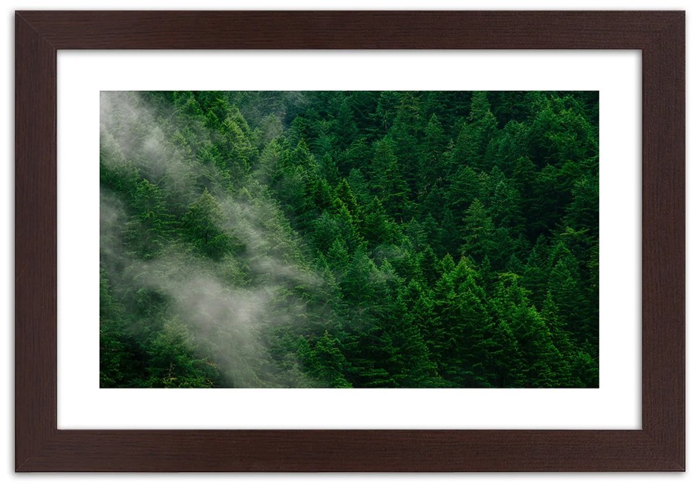 Gario Plagát Hmla nad lesom Farba rámu: Čierna, Rozmery: 60 x 40 cm