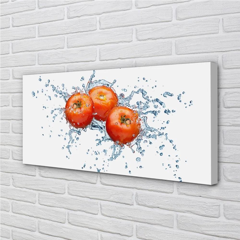 Obraz canvas paradajky voda 120x60 cm