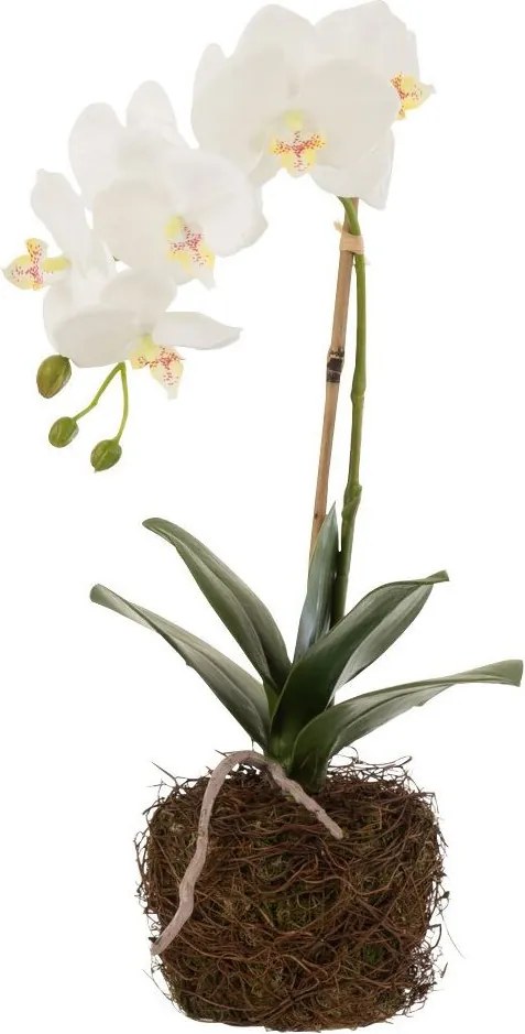 Dekorácia umelá kvetina Orchidea s koreňmi a machom - 23*17*40 cm