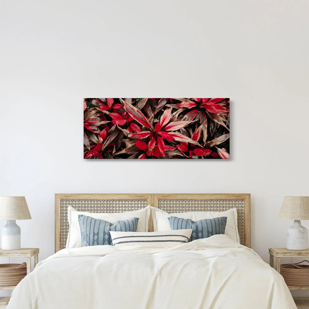 Obraz červených okvetných lístkov (120x50 cm)