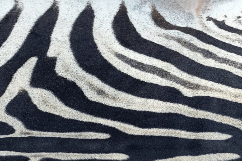 Koberec syntetická koža Zebra,