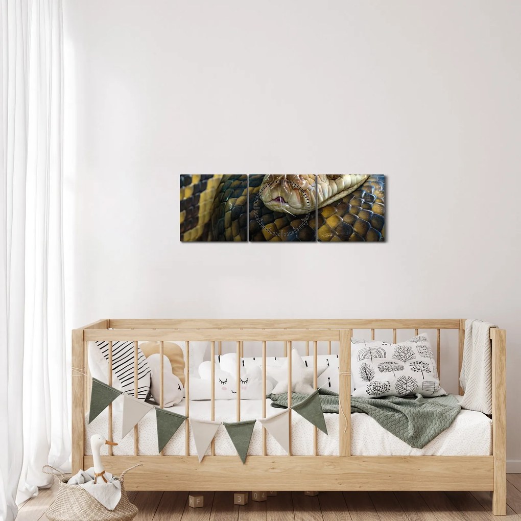 Obraz - Pytón (s hodinami) (90x30 cm)