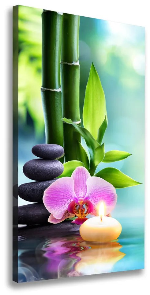 Vertikálny foto obraz na plátne Orchidea a bambus ocv-87258521