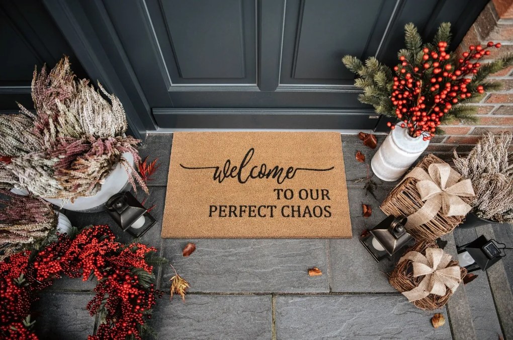 Hanse Home, Rohožka Welcome to our perfect chaos 105702 – na von aj na doma, 45x70, hnedá, chodba / predsieň