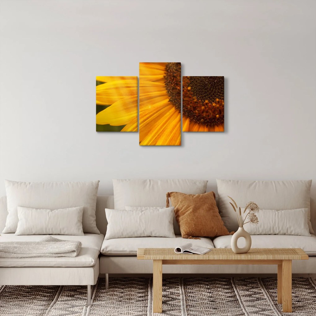 Obraz - Slnečnica (90x60 cm)