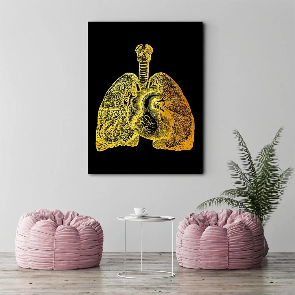 Gario Obraz na plátne Zlatá anatómia, Pľúca a srdce - Gab Fernando Rozmery: 40 x 60 cm