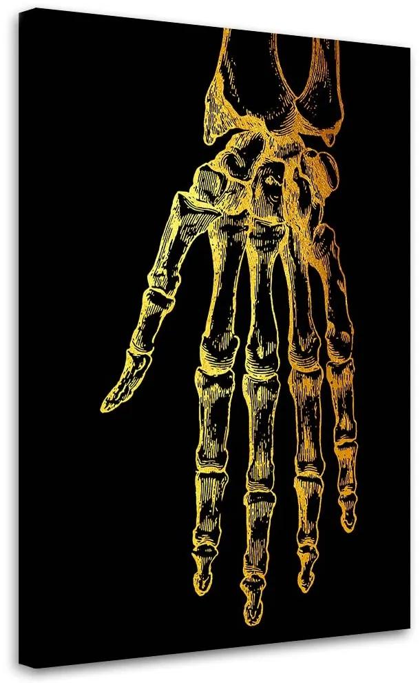 Gario Obraz na plátne Zlatá anatómia, ruka - Gab Fernando Rozmery: 40 x 60 cm