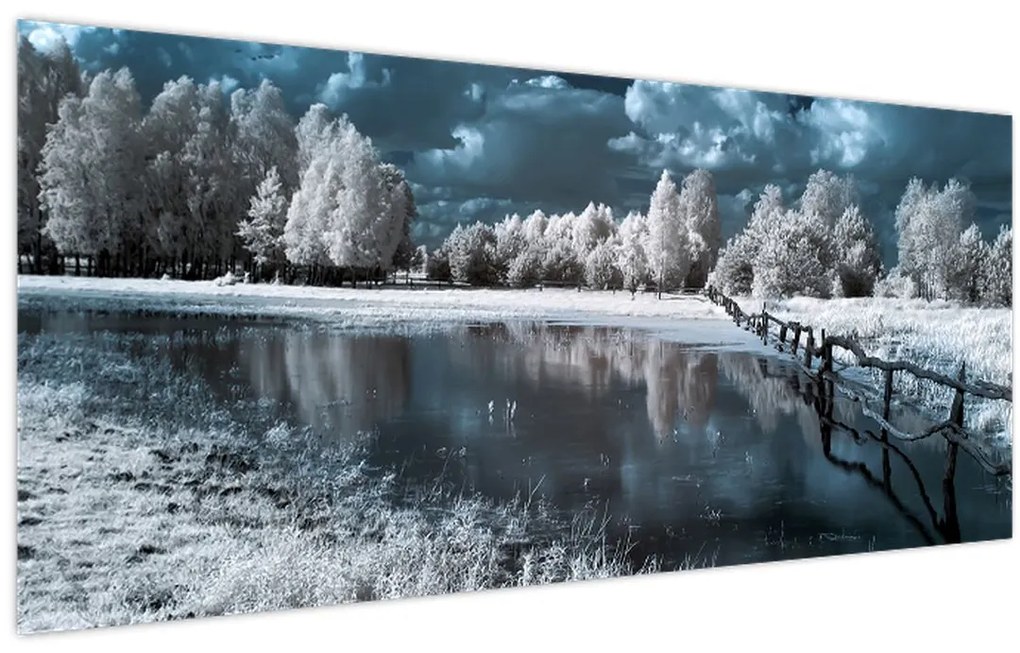 Obraz - Zamrznutá krajina (120x50 cm)